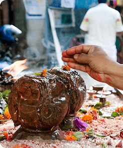 Lorem ipsum adipiscing elit