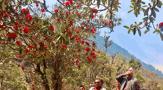 Autumn & Winter Travel Guide